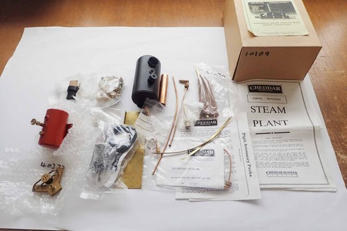Cheddar models pintail - models, steam
