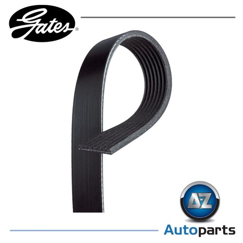 Rib ribbed belt 7pk1580 - 7, v-ribbed