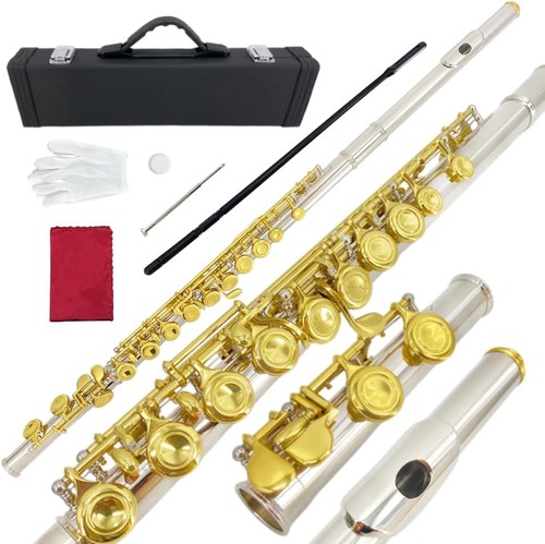Keys closed hole flute - 16, c