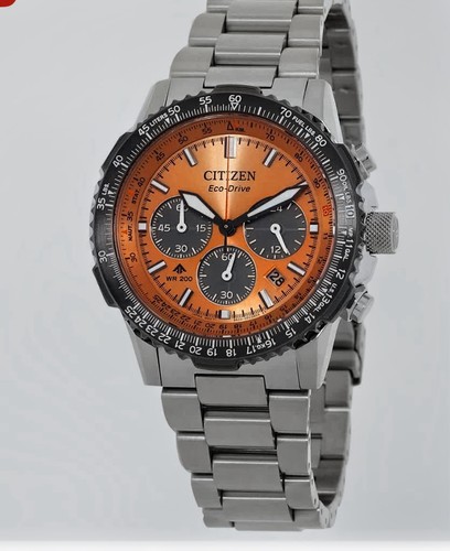 Citizen men promaster - men's,