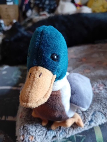 Beanie babies jake the - ty,