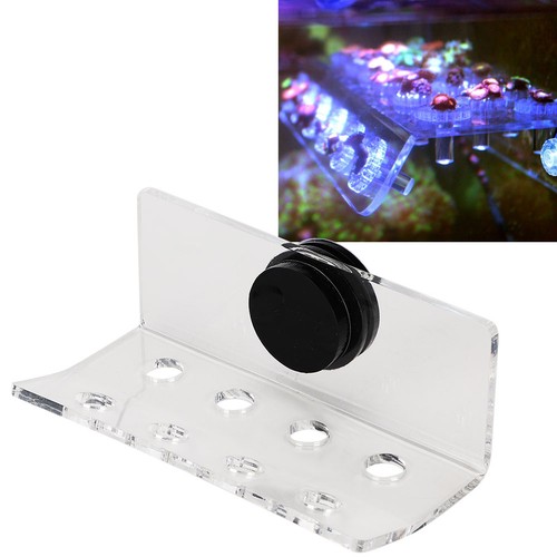 Hole magnetic coral frag - magnetic,