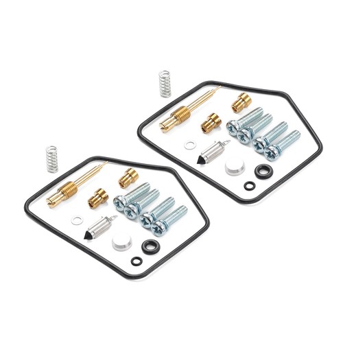 Set carburetor repair - set,