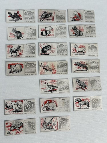 Typhoo tea cards pets from - typhoo,