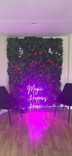Fake living wall - , amanda