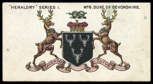 Taddy heraldry - taddy,