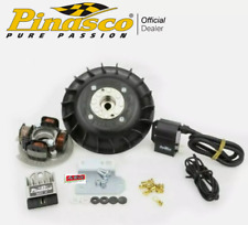 PINASCO VARIABLE EARLY IGNITION d.20 1.4 kg FLYTECH FOR VESPA PK 50 XL