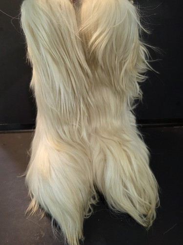 Dolomite italy real goat fur - dolomite,
