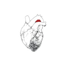 Swans : The Beggar CD 2 discs