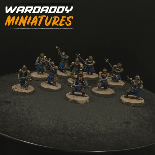 Pro painted warhammer - pro, lotr