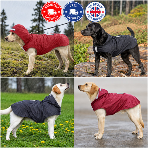 Waterproof dog raincoat - waterproof,
