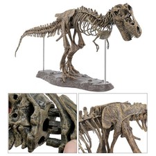 Dinosaur skeleton cool pvc - dinosaur,