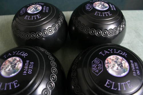 Taylor elite size bowls - elite,