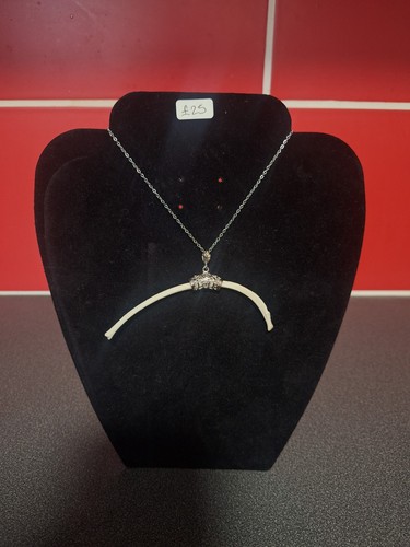 Taxidermy jewellery fox rib - taxidermy,