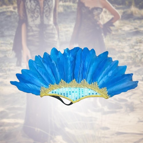 Feather headdress kids costume - feather,