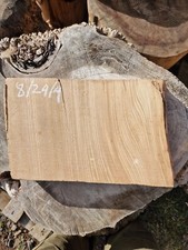 elm double live edge