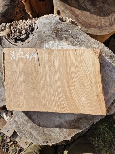 Elm double live edge - elm,