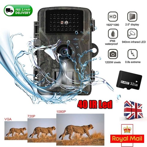 Wildlife hunting trail camera - wildlife,