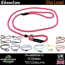 Slip Lead Leash Rope Dog Puppy Pet  No Collar Needed 4sizes 1.2m Strong Nylon