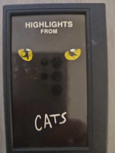 Cats highlights from dcc - from,