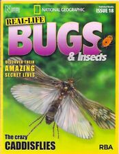 real-life bugs &