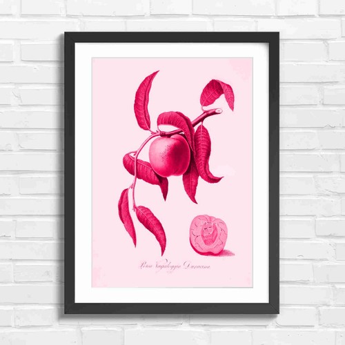 Botanical vintage peach branch - botanical,