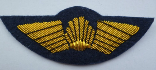 Unknown civil airline pilots - civil,