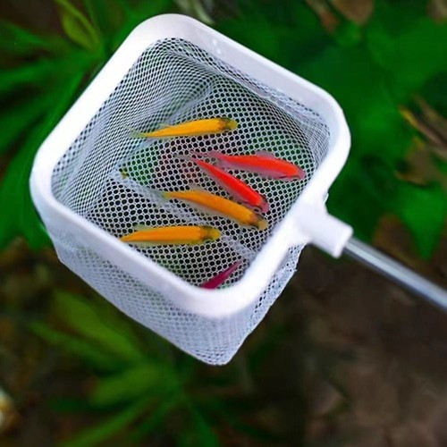 Stainless steel fishing - stainless,