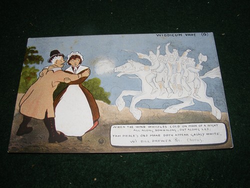Vintage postcard widecombe - vintage,
