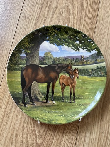 Spode collector plate 1988 - collector,