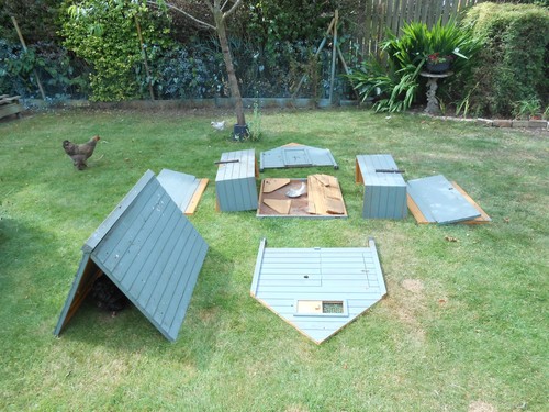 Chicken coop used - chicken,
