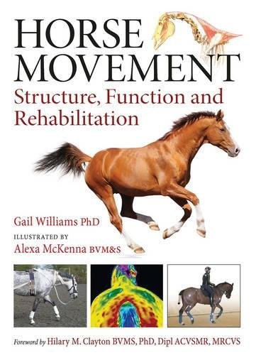 Horse movement structure - movement,