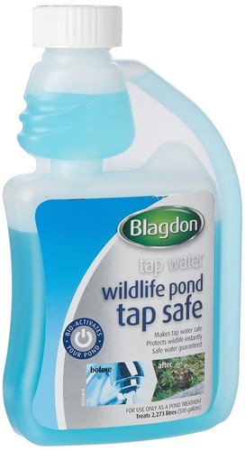 Blagdon wildlife pond water - blagdon,