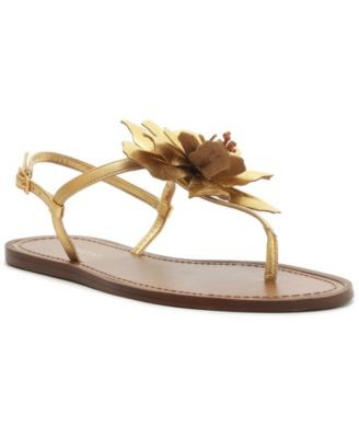 Arezzo women daisy buckle - daisy,