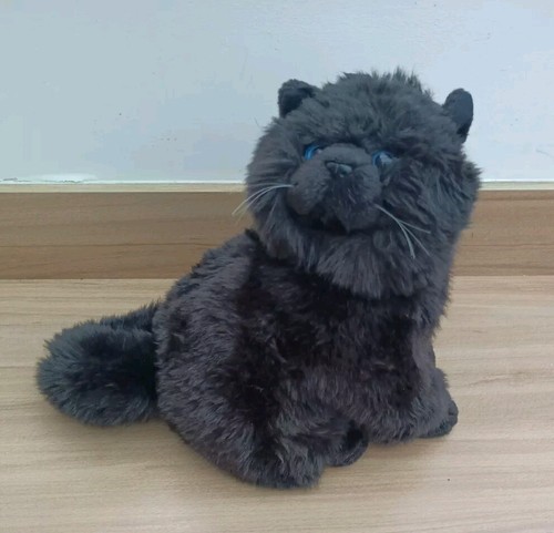 Persian black cat sitting - black,