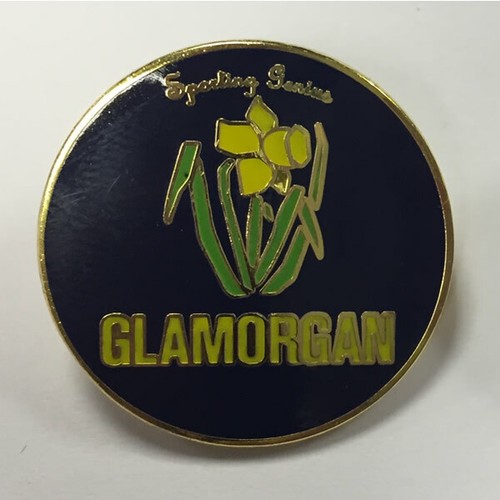 Glamorgan cricket pin badge - cricket,
