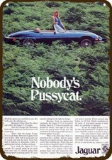 1974 JAGUAR E-TYPE V-12 Nobody's Pussycat Vnt-Look DECORATIVE REPLICA METAL SIGN