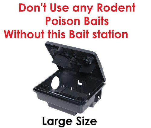 Professional rodent rat mice - professional,