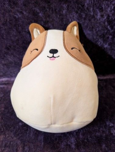 Squishmallow regina the corgi - the,