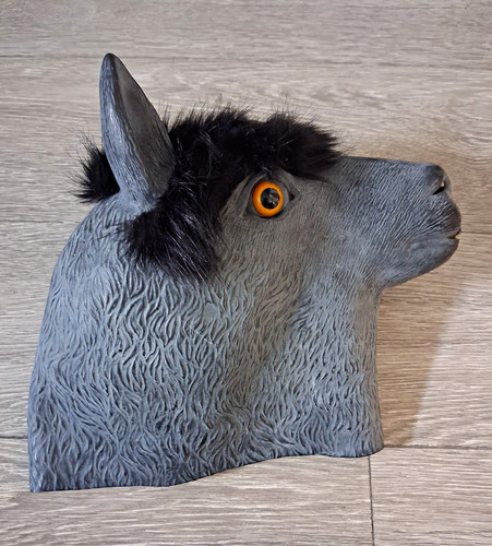 Grey horse head - full, face