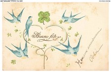 AXEP13-0998-ANIMALS - Happy