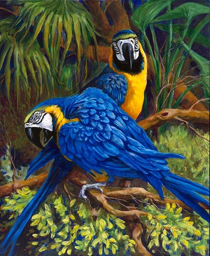 Blue and gold - gold, x20