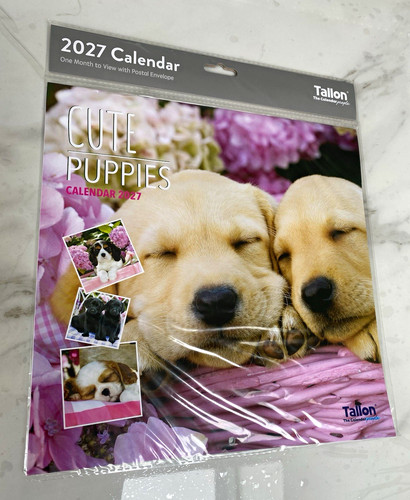 2027 calendar puppies - , kittens