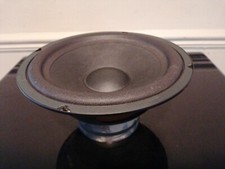 Mordaunt Short Ms 10wr-3r5