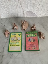 Vintage MEG Bunny In My Pocket