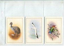 Flight (Birds) 1982 Cadbury 99 Flake Cards - Full Set of 12 Large Cards
