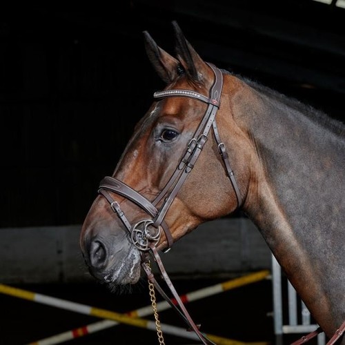 John whitaker chicago - john,