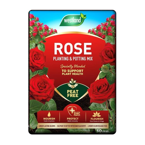 Westland rose compost 46l peat - 46l,