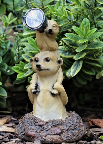 Garden ornament meerkat - garden,