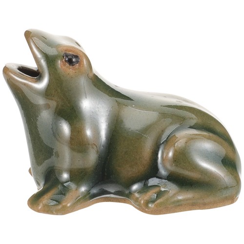 Circulating fountain frog - fountain,